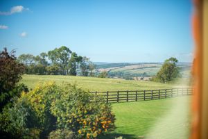 Photo 62- click for photo gallery